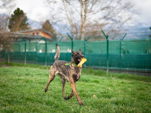 None