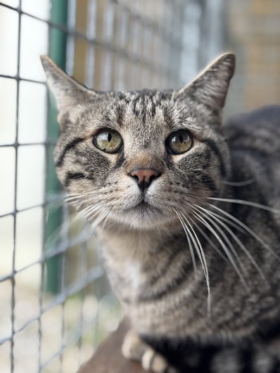 None