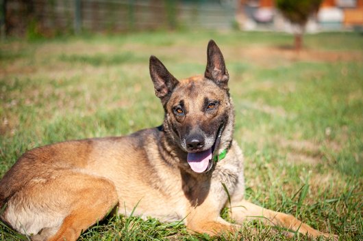 None